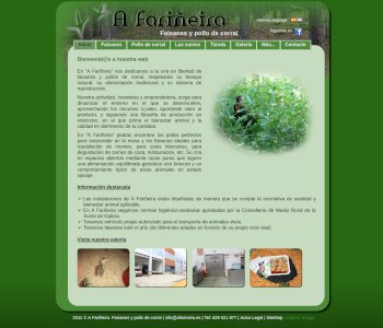 Captura de pantalla de la web afariñeira.es