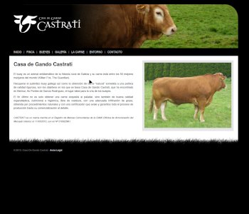 Captura de pantalla de la web castrati.es